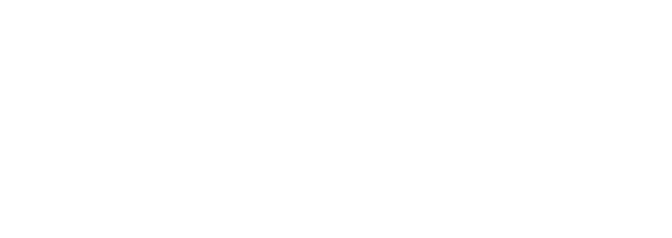 PrimaryDM Logo